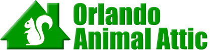Orlando Animal Attic